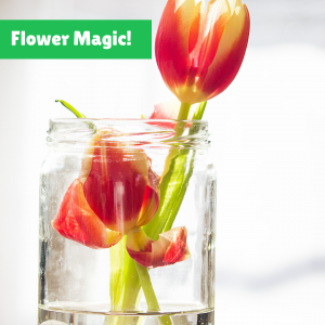 Weekend vibes idea - Flower Magic!